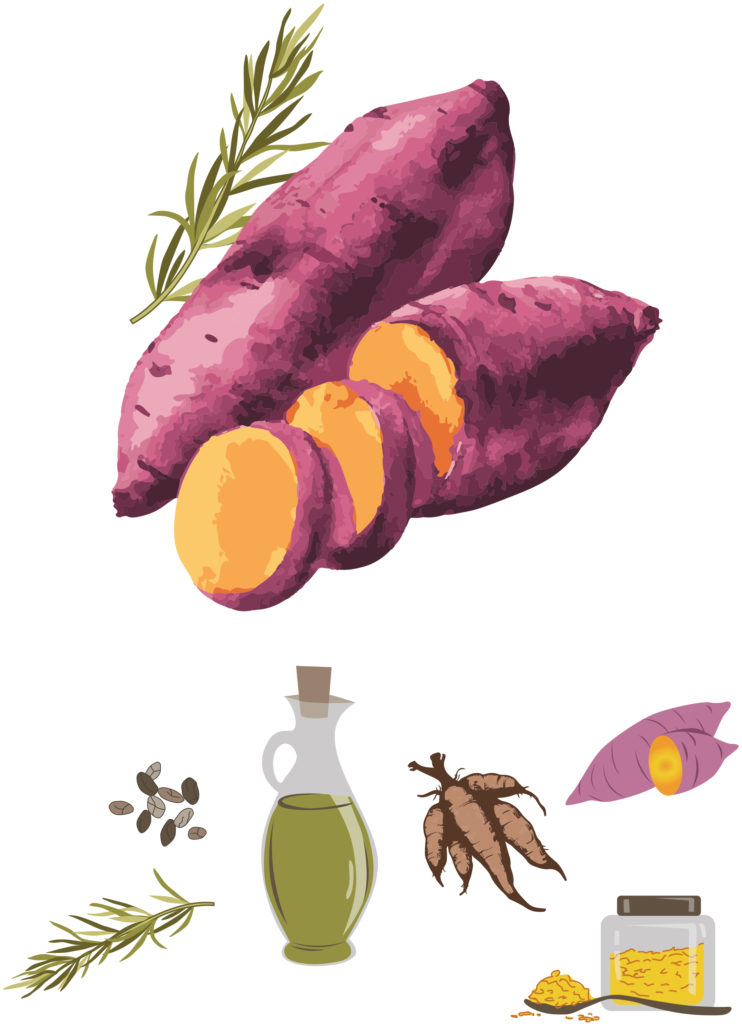 Sweet Potato Bread Ingredient Illustration